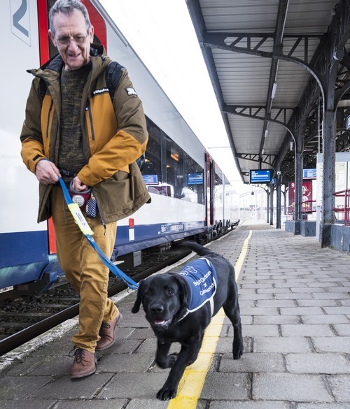 Jos Vermaesen met labrador Tygo op het perron van een treinstation