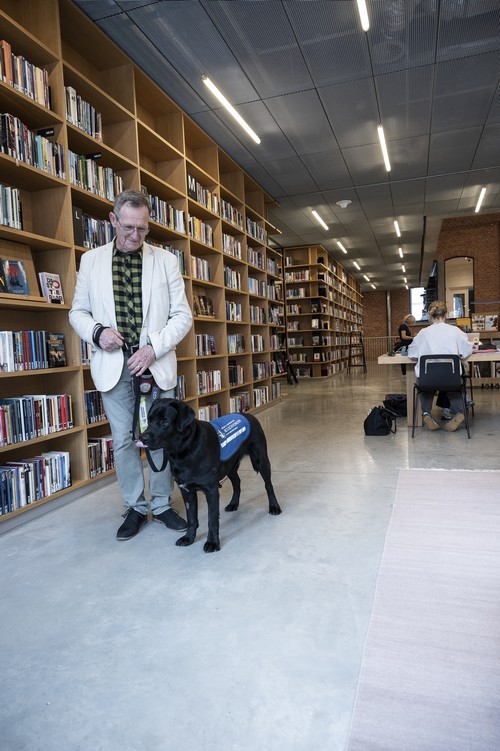 Jos Vermaesen met labrador Tygo, in de bibliotheek